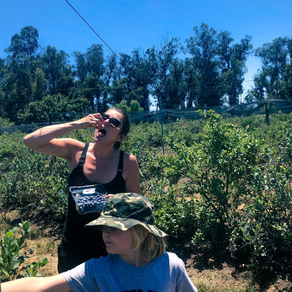 Picking berries and being grateful for the abundance of nature