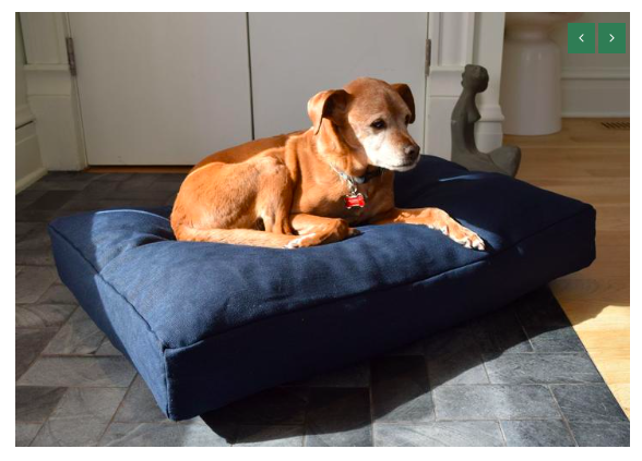hemp pet bed and dog