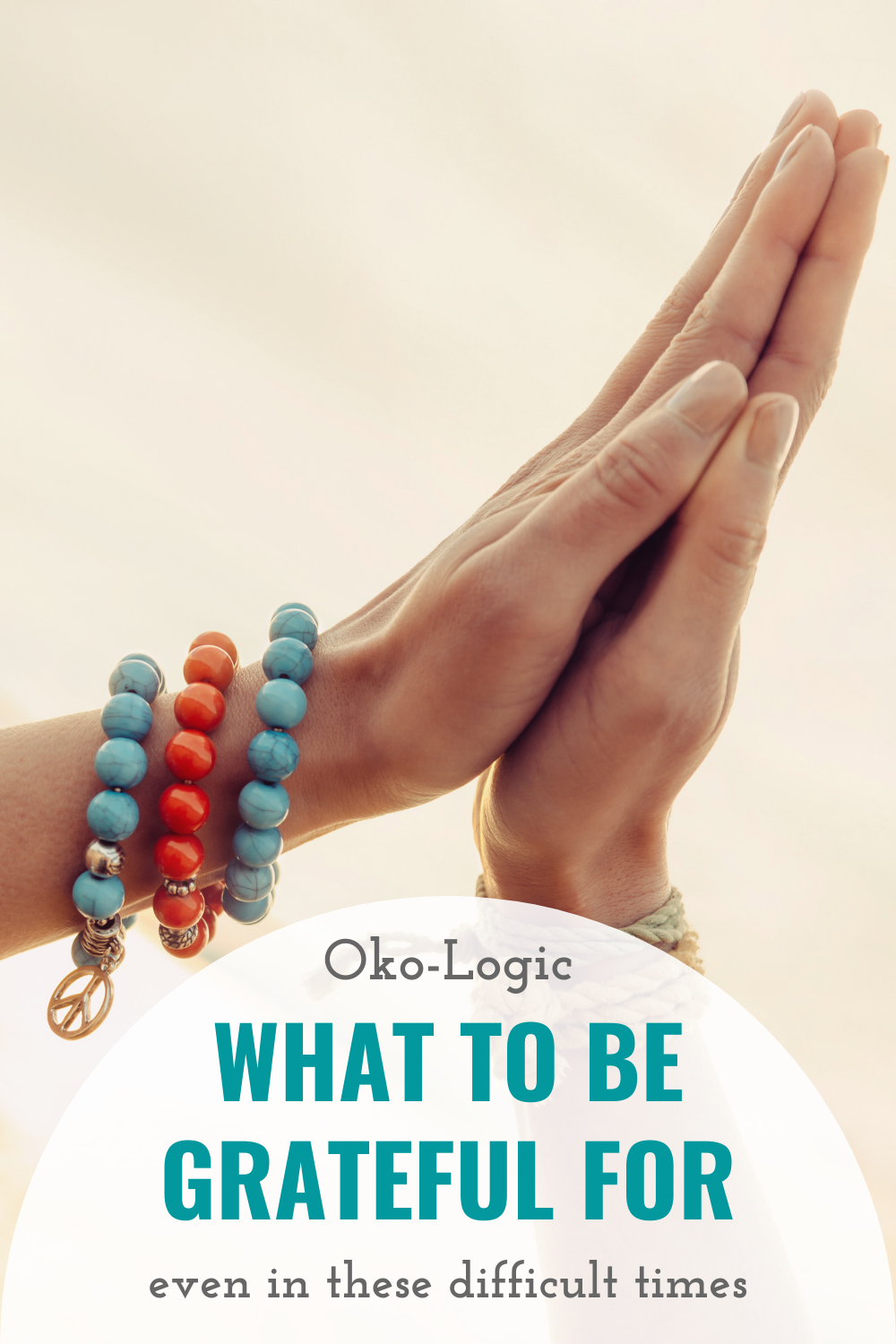 15 Things Big and Small and What to be Grateful for Right Now