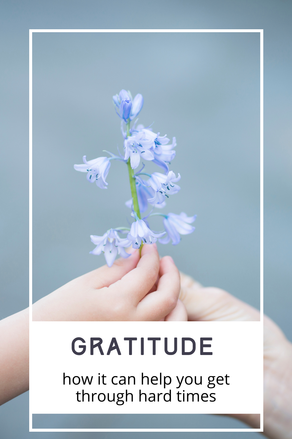 15 Things Big and Small and What to be Grateful for Right Now
