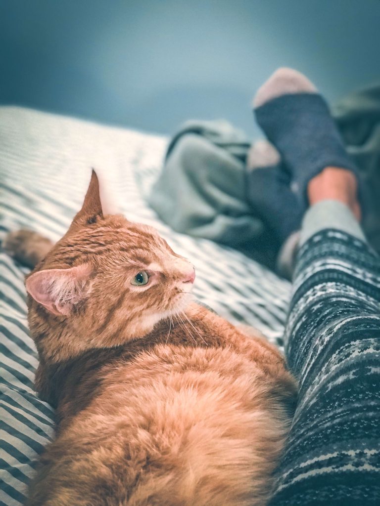 lounging at hygge home with cat