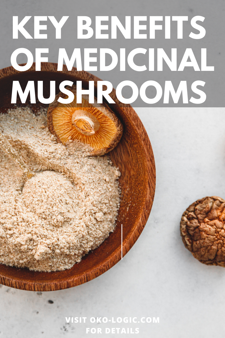 Reishi, Chaga, and Turkey Tail Mushroom Benefits for Vibrant Health