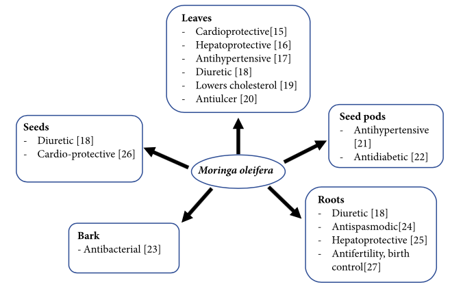 Screen Shot 2021 08 24 at 4.49.00 PM