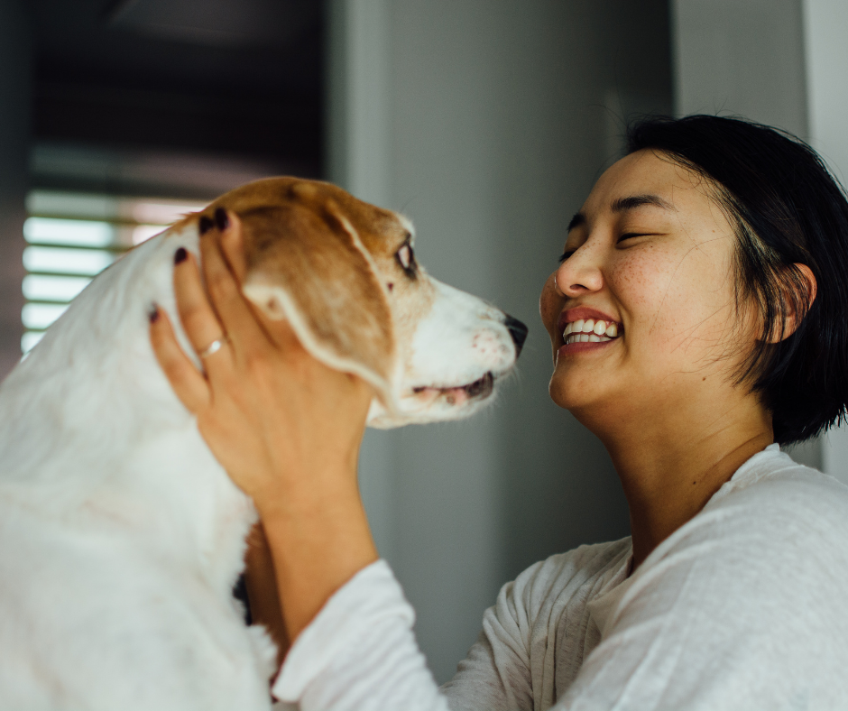 woman playing with a dog