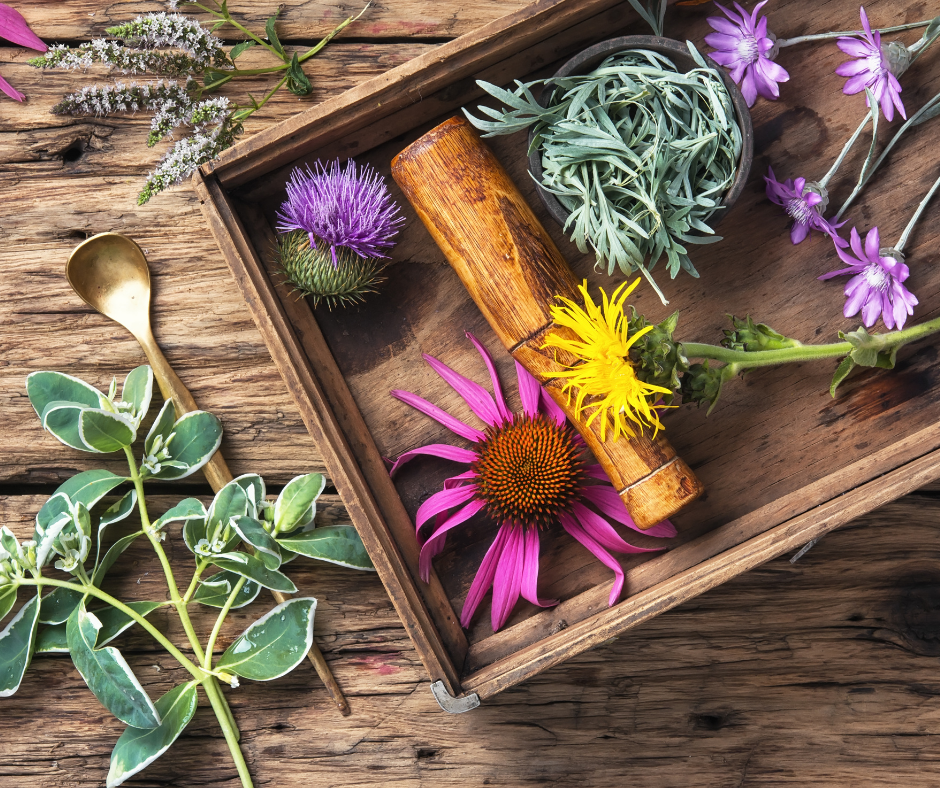 dried flowers and herbs for herb infusion